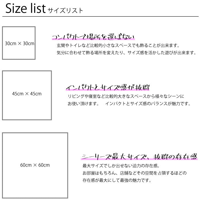 Fab-MIRA-abc-025