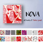 fab-nova-639