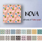 fab-nova-647