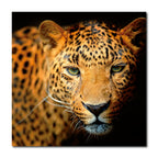 Fab-Lindo-abc-04