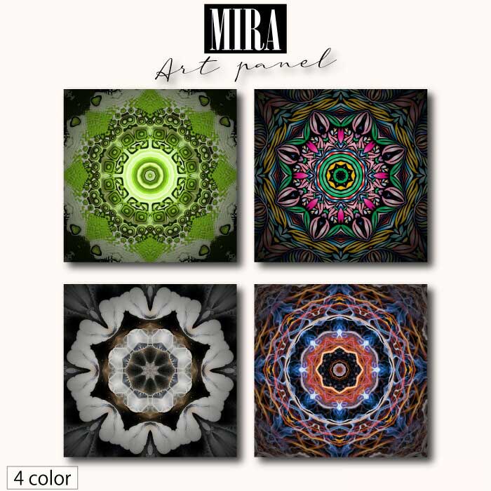 Fab-MIRA-abc-069