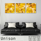 Fab-Uni-0236