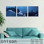 Fab-Uni-0001