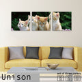 Fab-Uni-0049