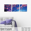 Fab-Uni-0057
