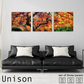 Fab-Uni-0074