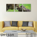 Fab-Uni-0174