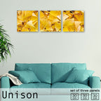 Fab-Uni-0236