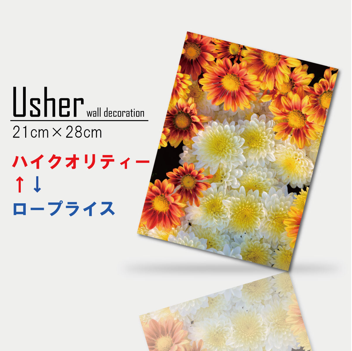 Fab-usher-017