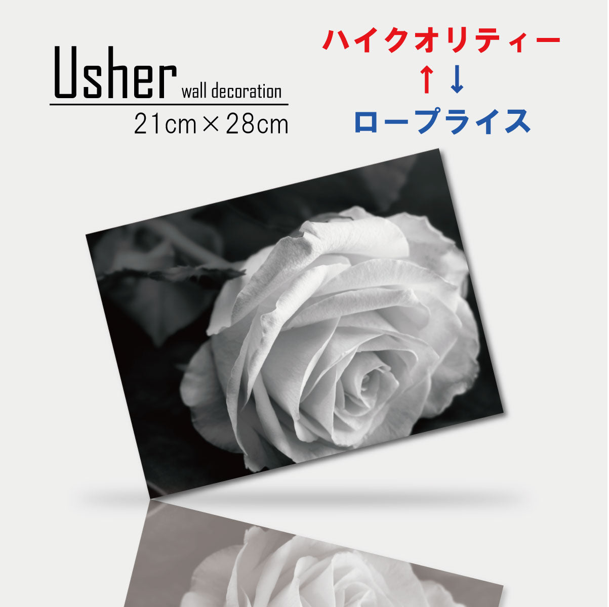 Fab-usher-019