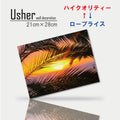 Fab-usher-033