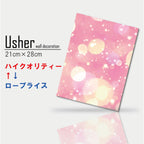 Fab-usher-048