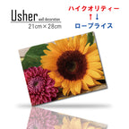 Fab-usher-055