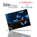 Fab-usher-067