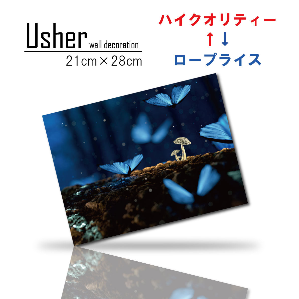 Fab-usher-067