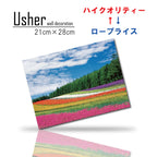 Fab-usher-071