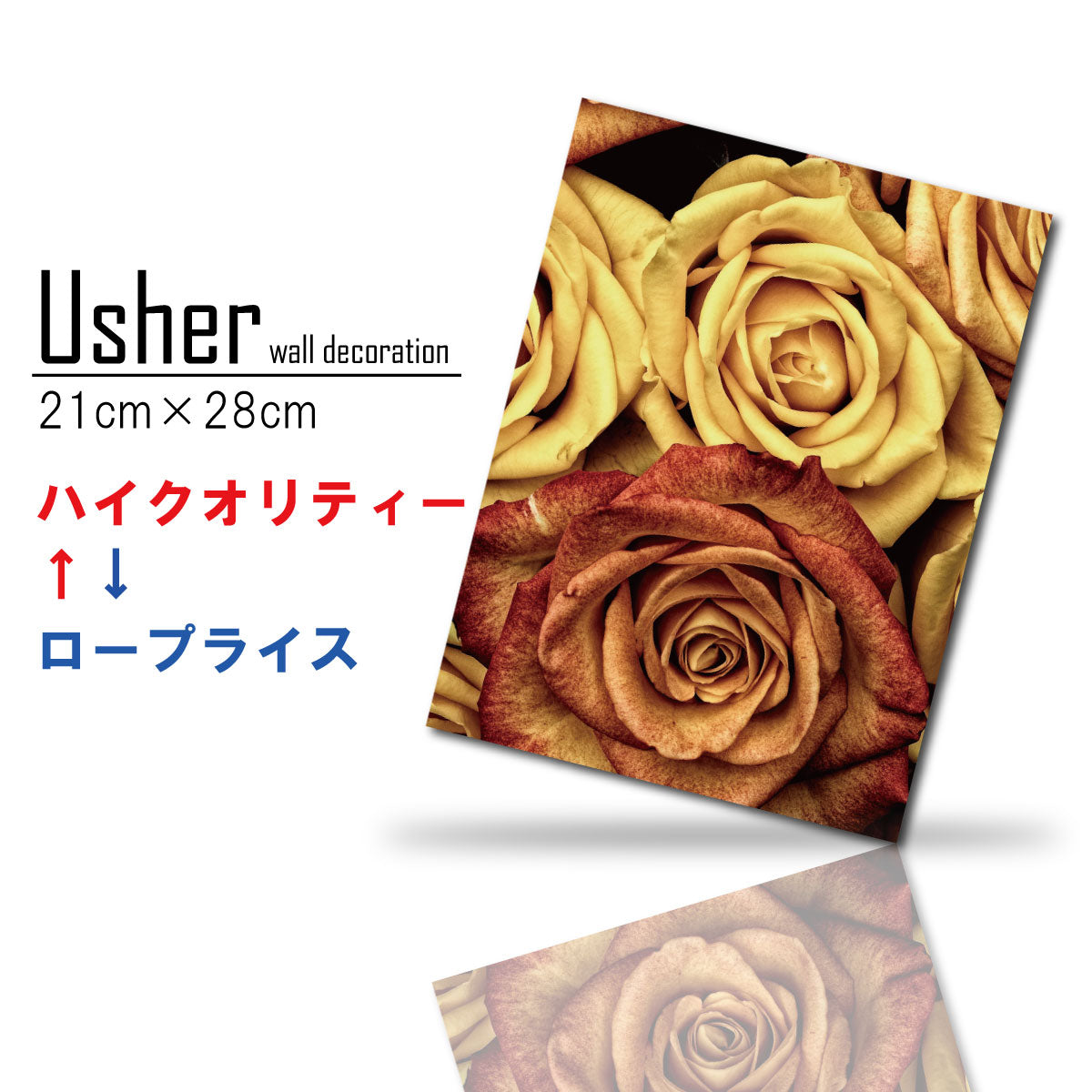 Fab-usher-072