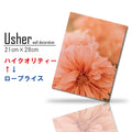 Fab-usher-073
