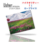 Fab-usher-081