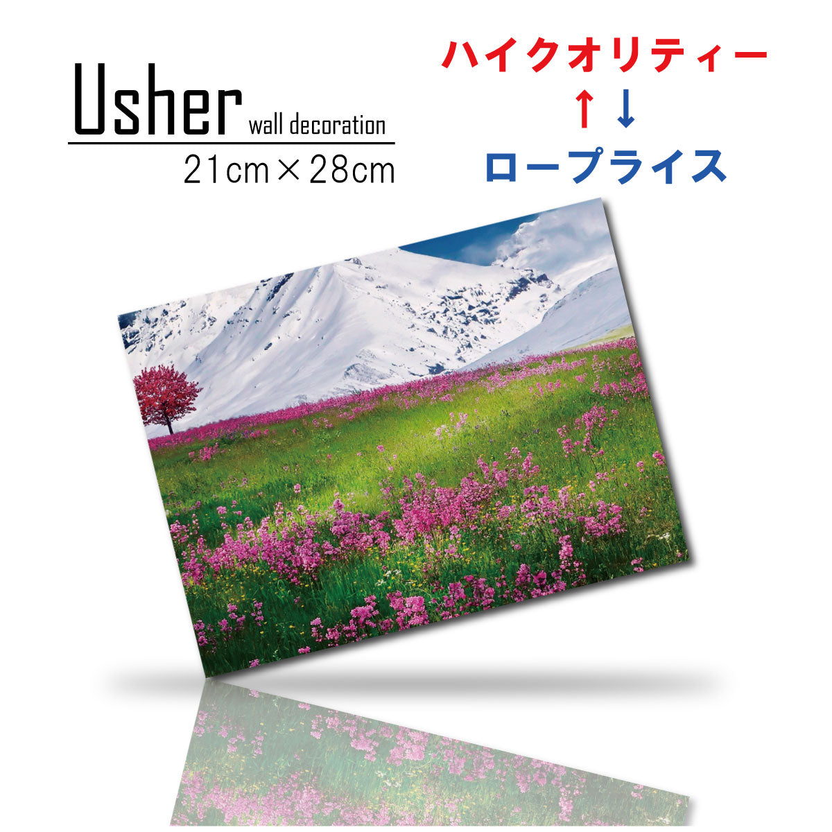 Fab-usher-081