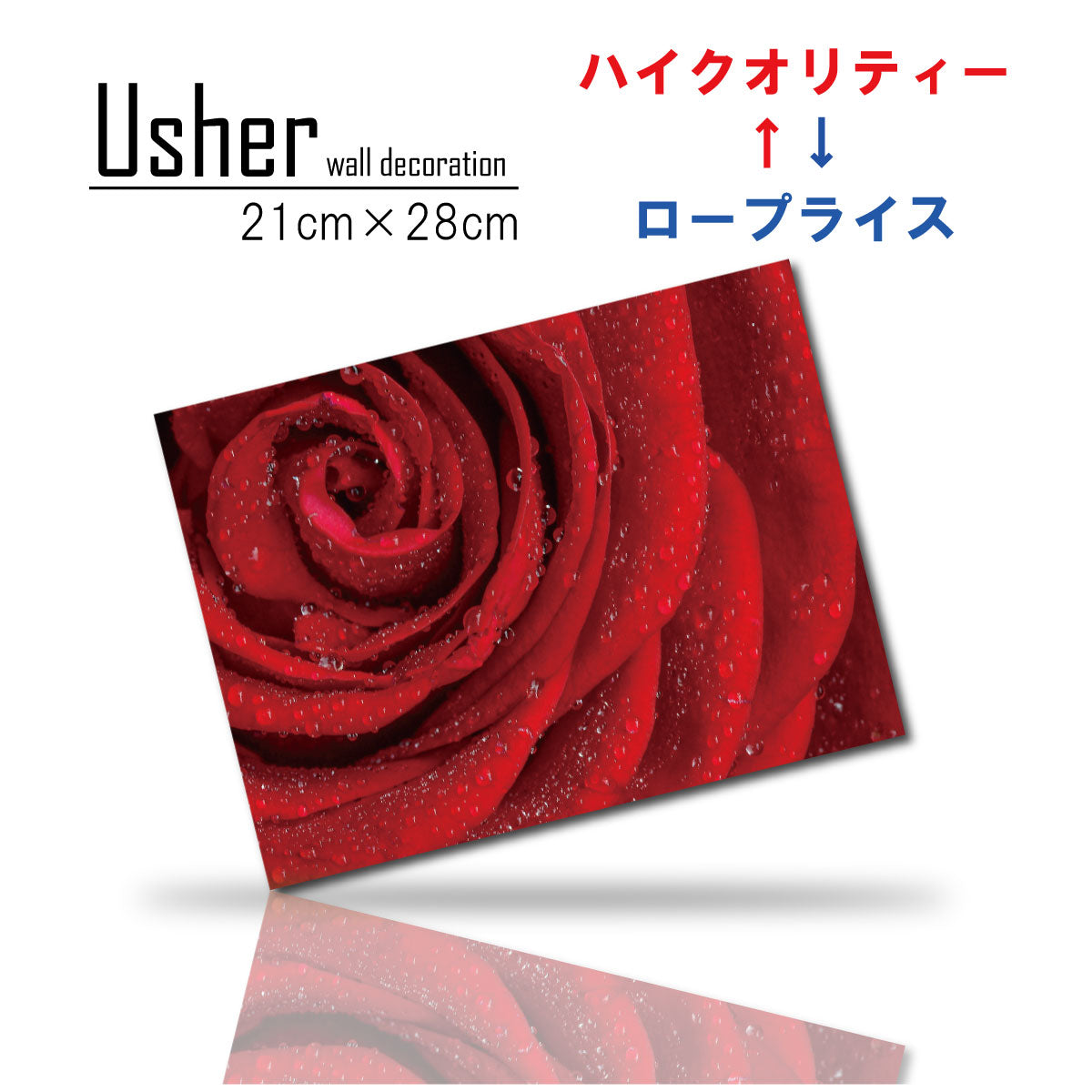 Fab-usher-089