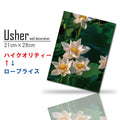 Fab-usher-099