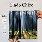 Fab-Lindo-Chico-abc-008