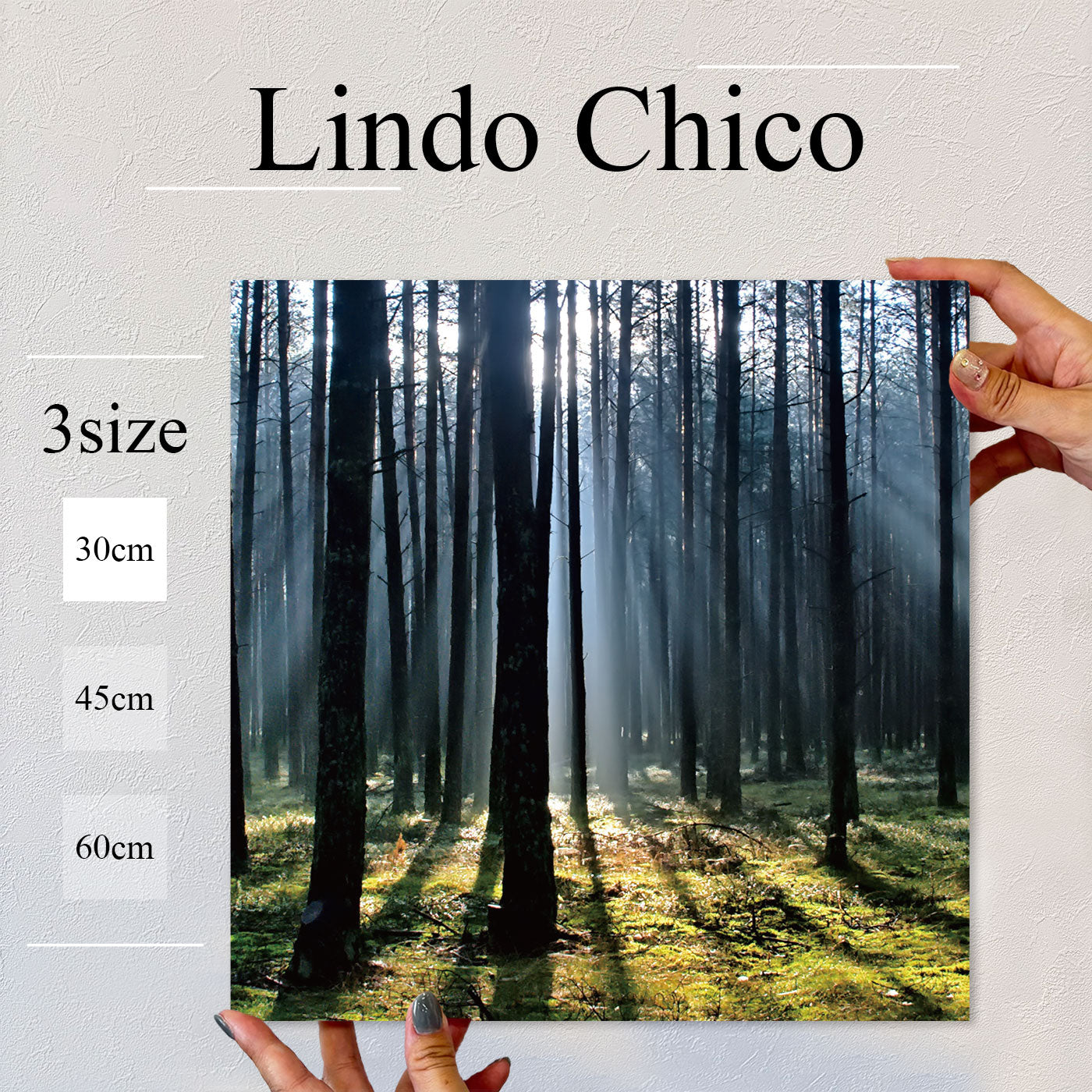 Fab-Lindo-Chico-abc-008