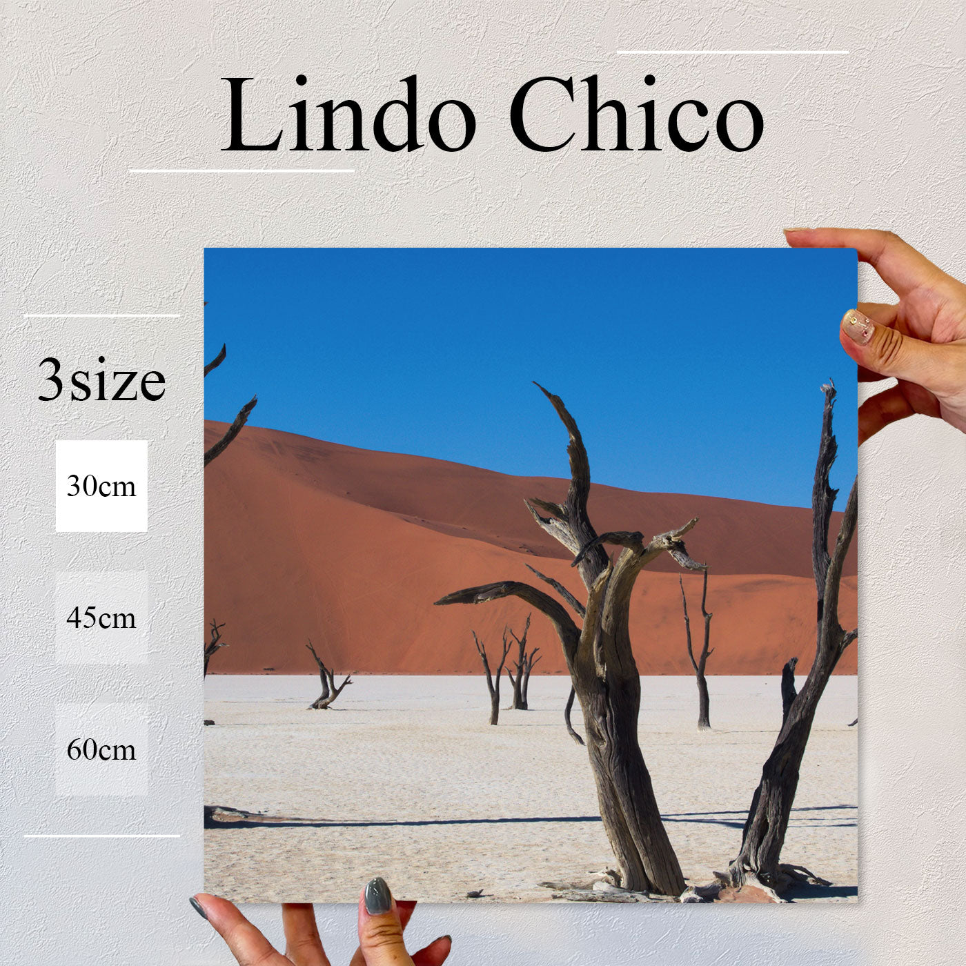 Fab-Lindo-Chico-abc-015