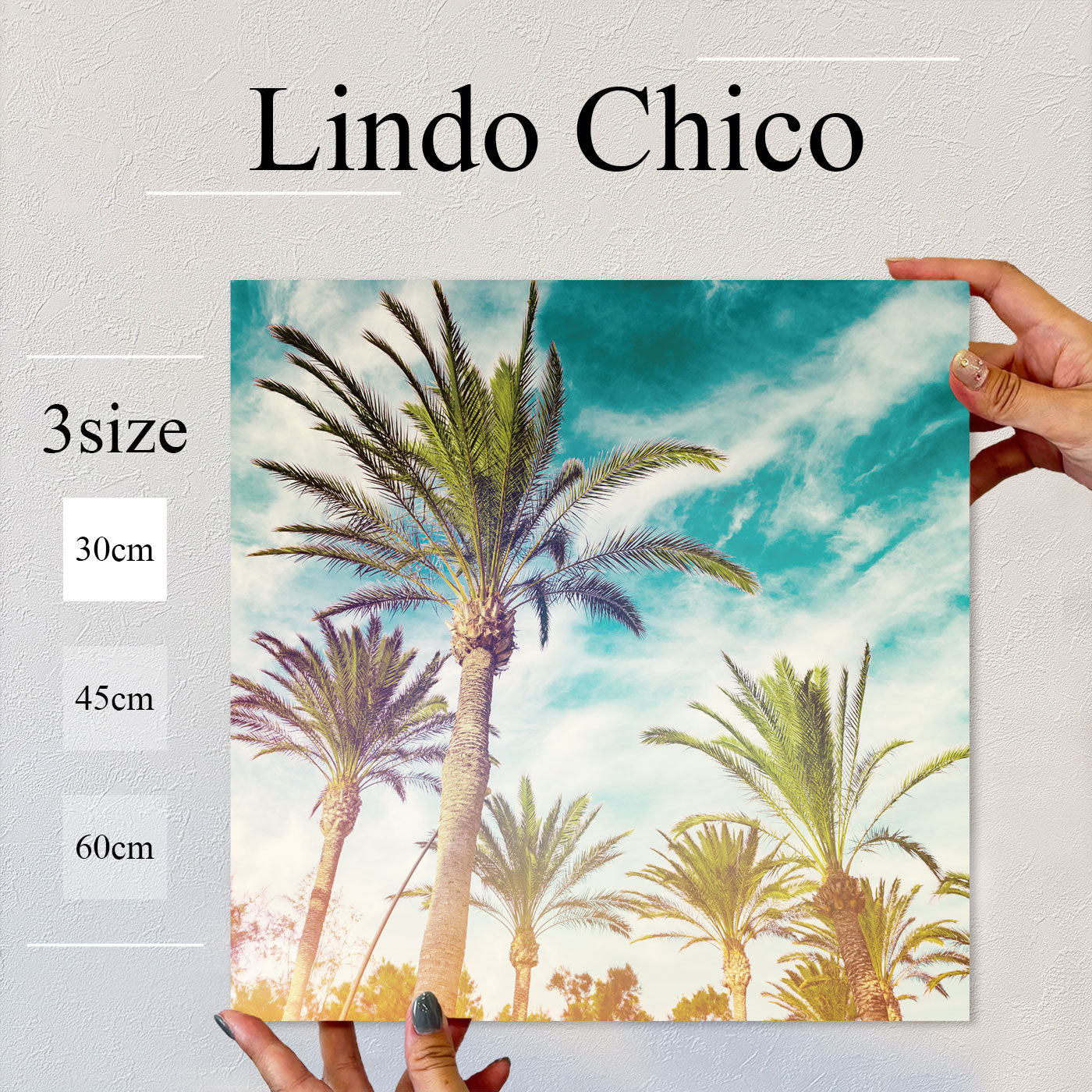 Fab-Lindo-Chico-abc-027