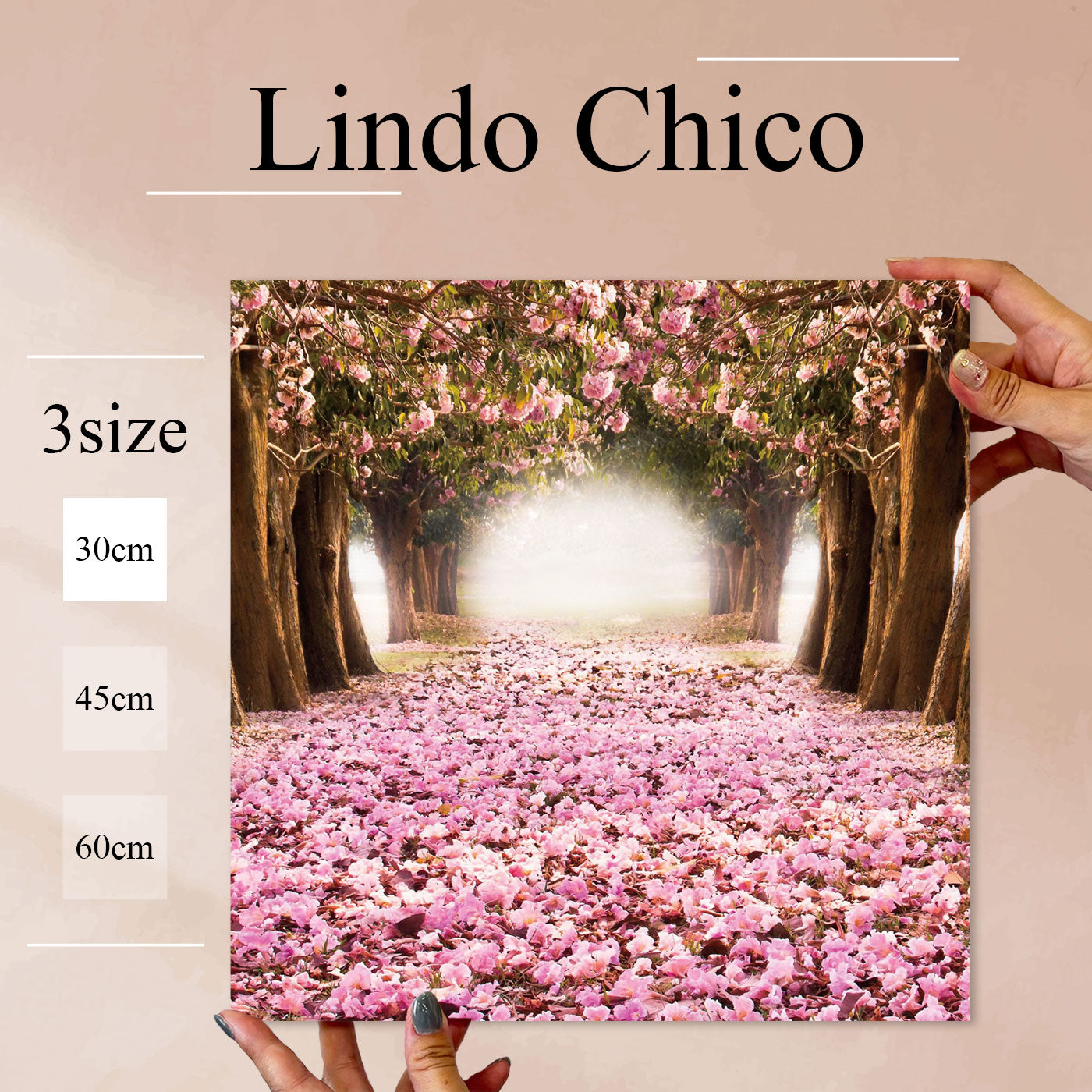 Fab-Lindo-Chico-abc-031