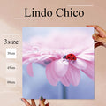 Fab-Lindo-Chico-abc-033