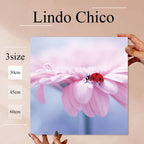 Fab-Lindo-Chico-abc-033