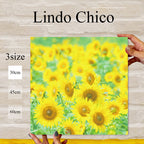 Fab-Lindo-Chico-abc-035