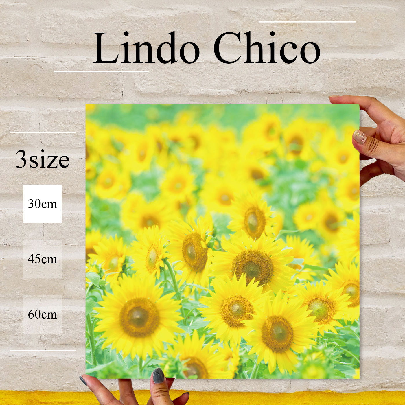 Fab-Lindo-Chico-abc-035