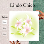 Fab-Lindo-Chico-abc-037