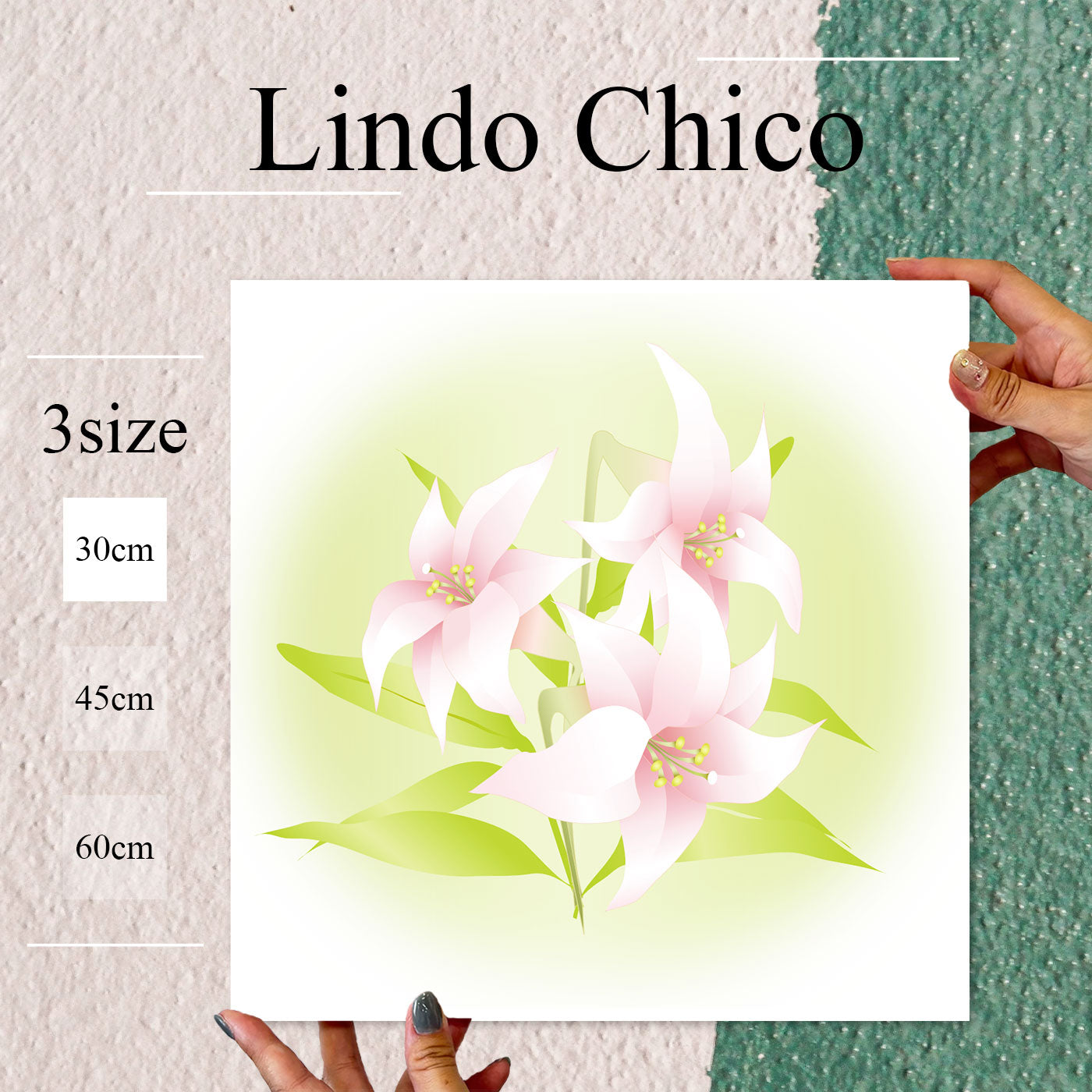 Fab-Lindo-Chico-abc-037