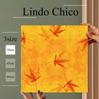 Fab-Lindo-Chico-abc-039