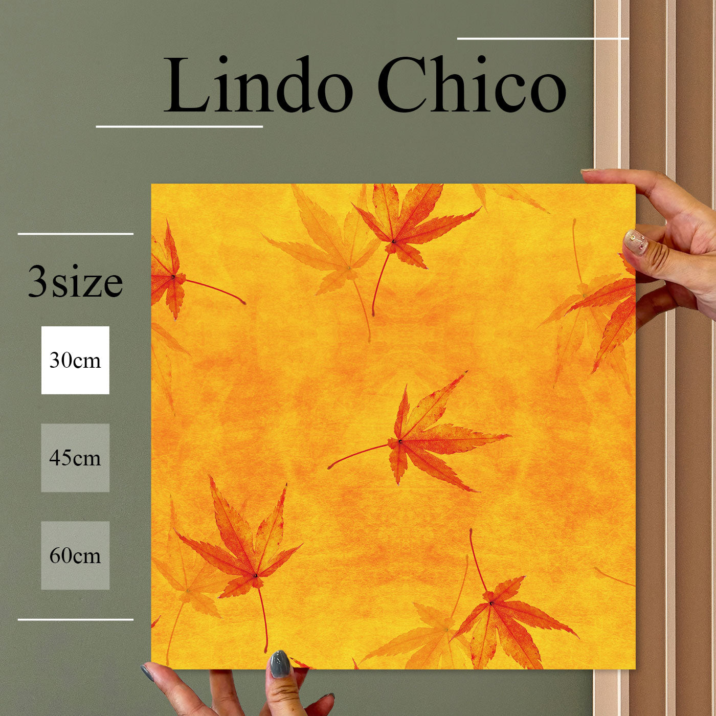 Fab-Lindo-Chico-abc-039