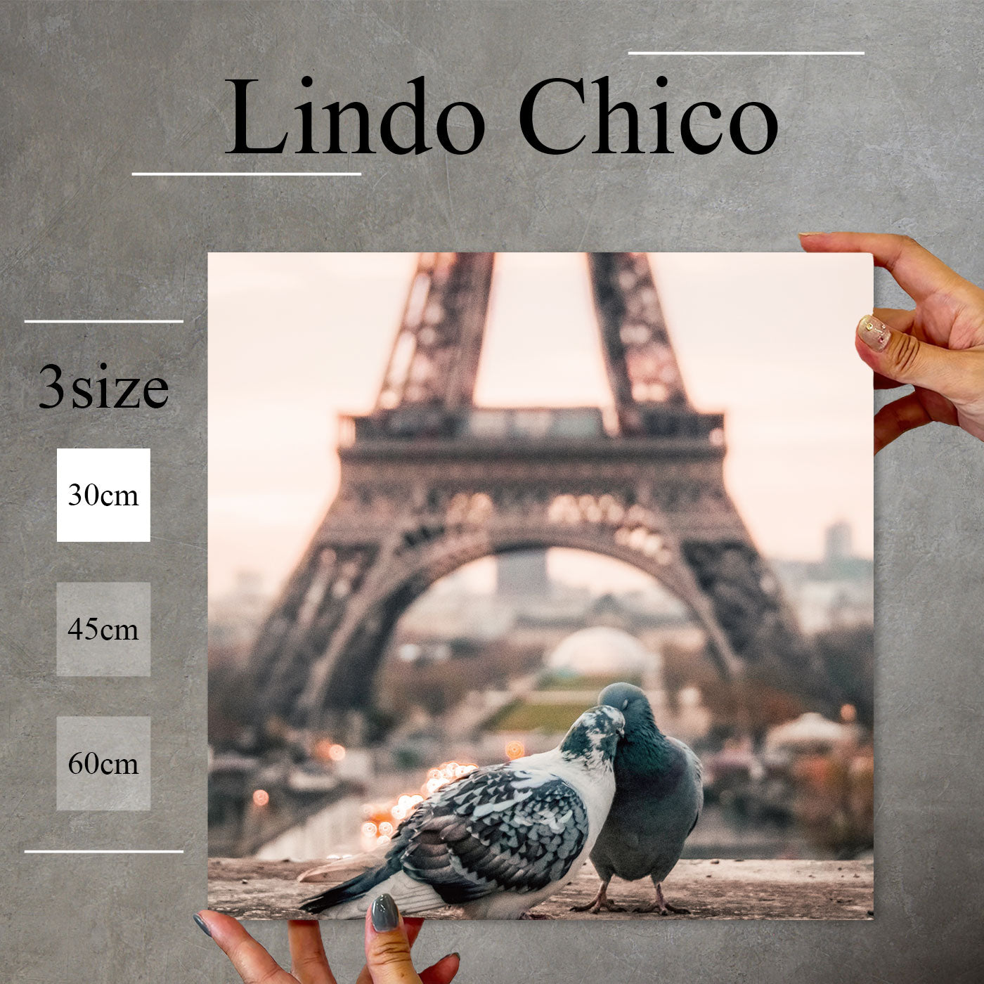 Fab-Lindo-Chico-abc-041