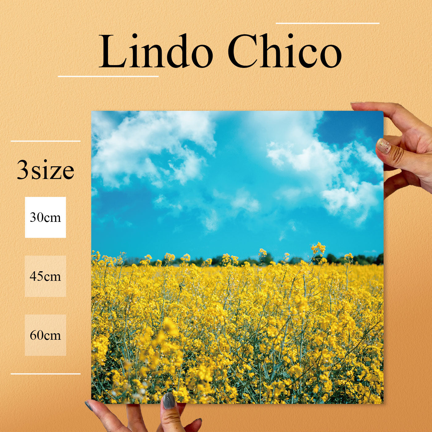 Fab-Lindo-Chico-abc-043