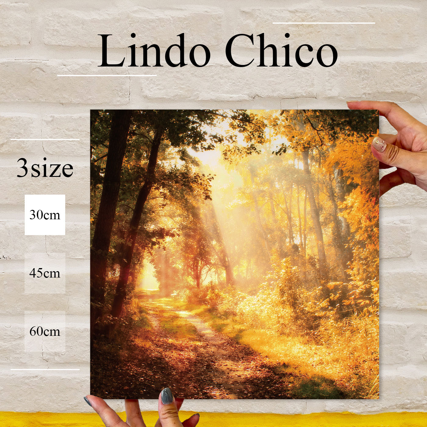Fab-Lindo-Chico-abc-044