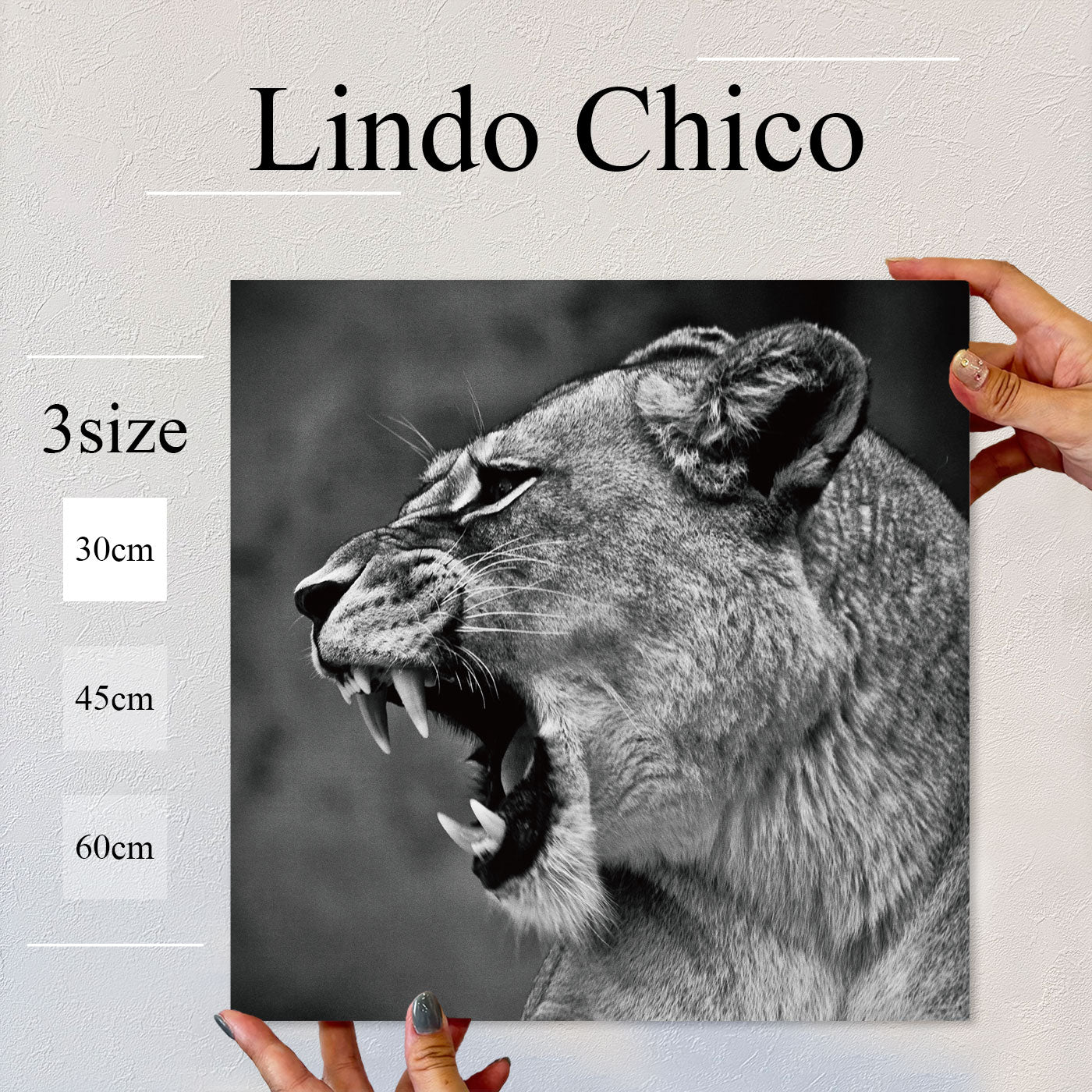 Fab-Lindo-Chico-abc-051