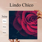 Fab-Lindo-Chico-abc-056