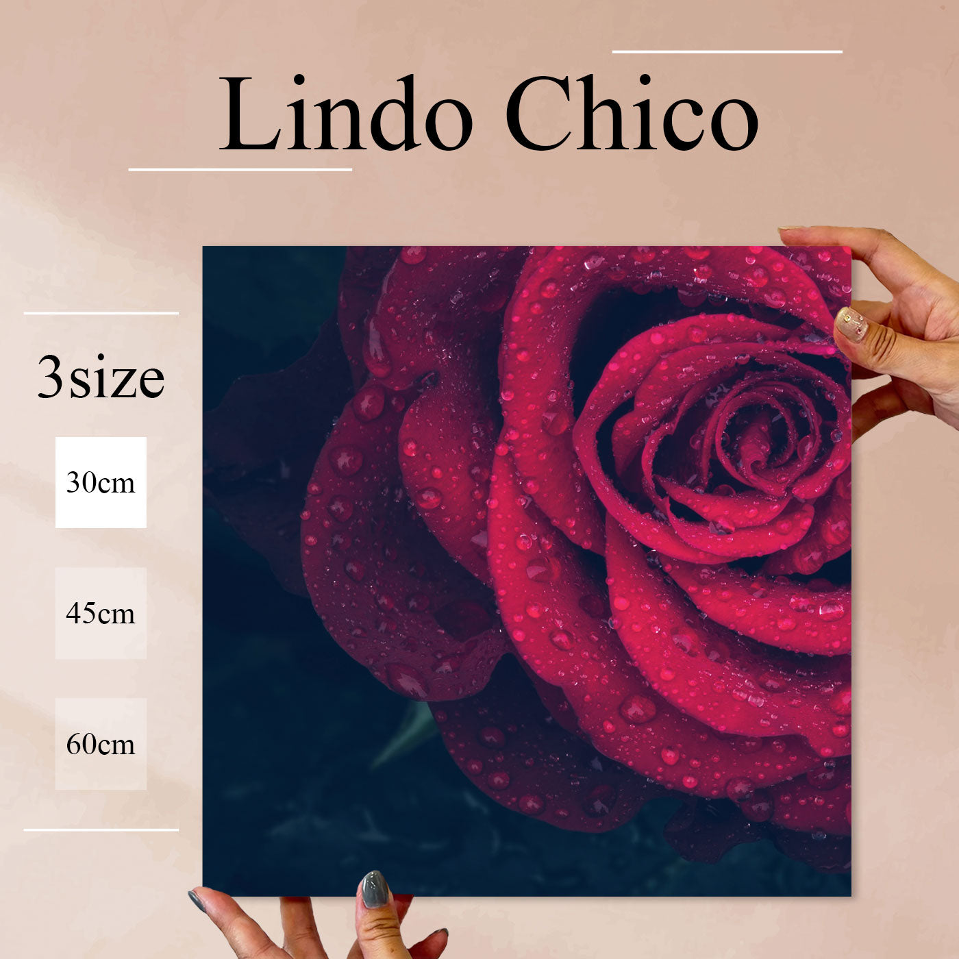 Fab-Lindo-Chico-abc-056