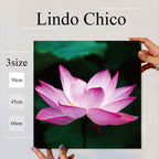 Fab-Lindo-Chico-abc-057