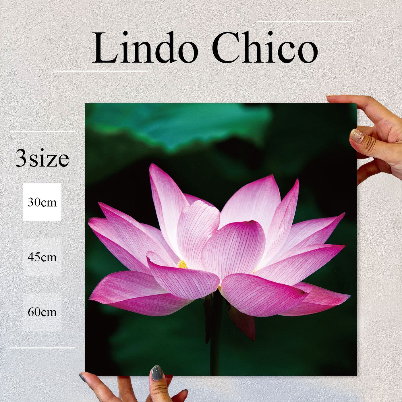 Fab-Lindo-Chico-abc-057