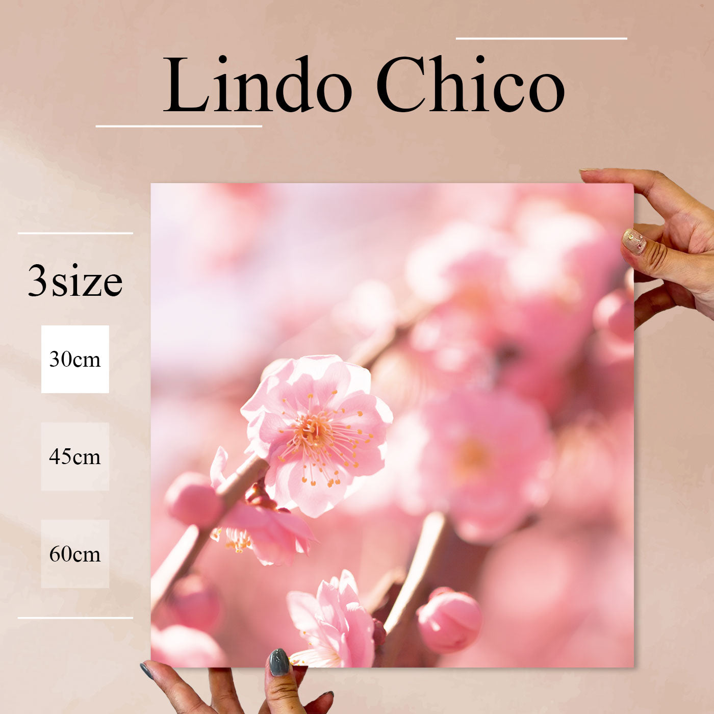 Fab-Lindo-Chico-abc-058