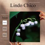 Fab-Lindo-Chico-abc-060