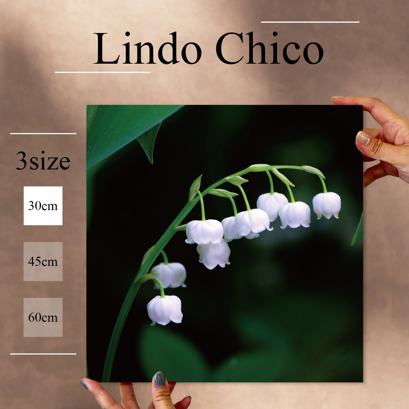 Fab-Lindo-Chico-abc-060